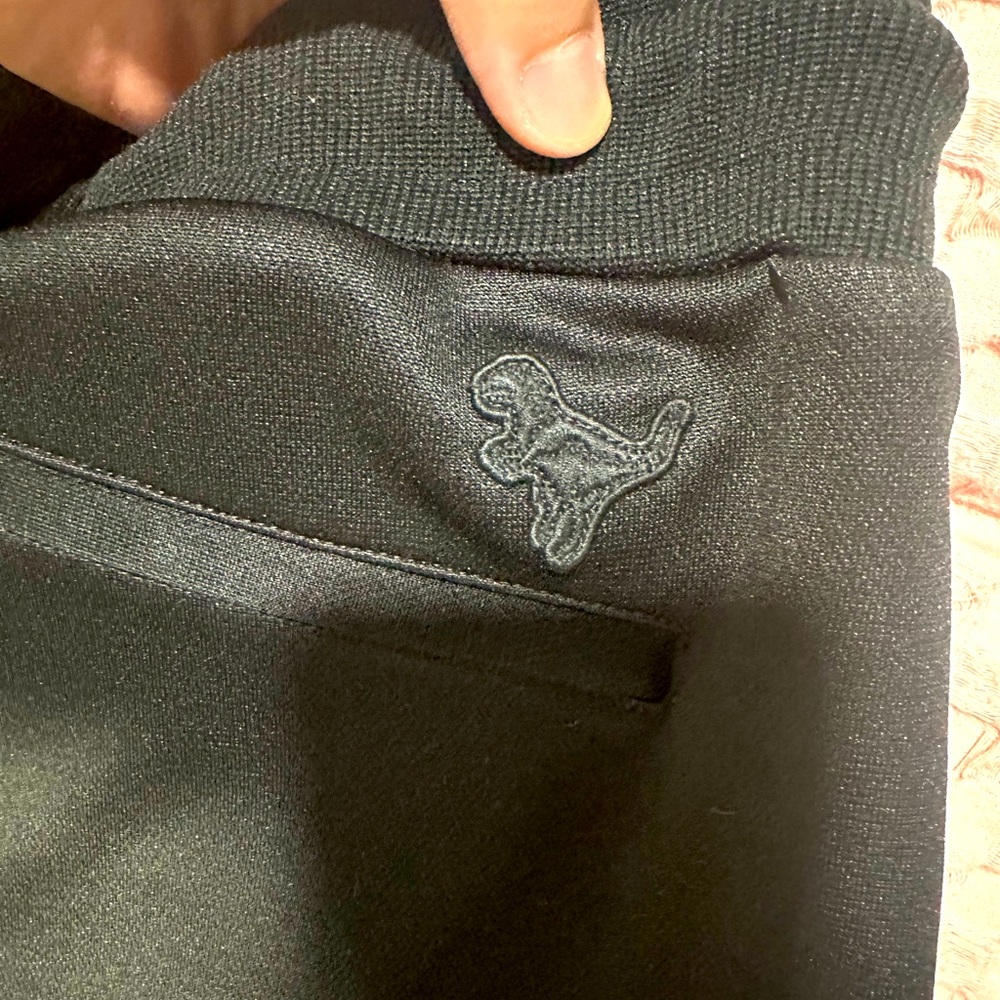 Coach pants